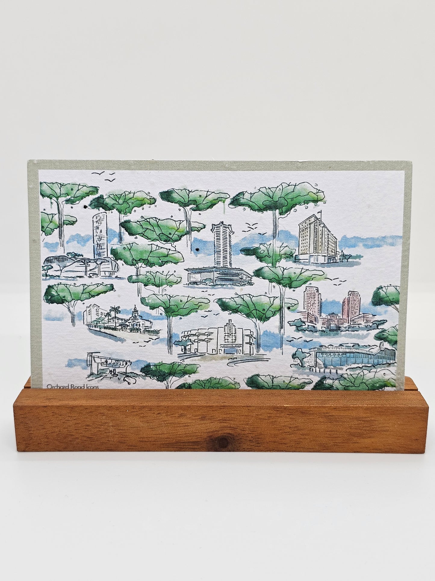 SoSus Tanjong Pagar Merchandise: Plantable Seed Postcards